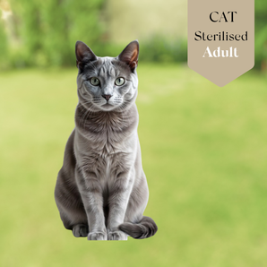 Sterilised Cat - Adult